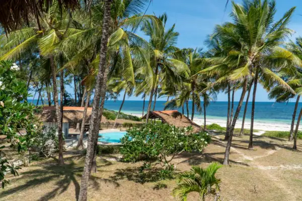Garden pool among coconut palms with the beach beyond