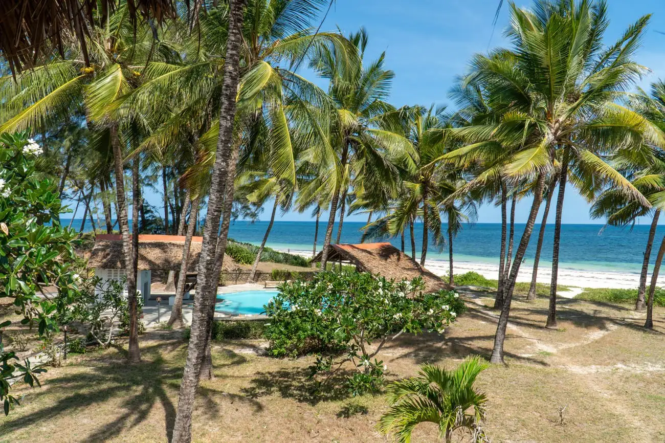 Garden pool among coconut palms with the beach beyond