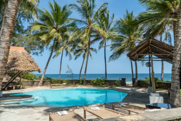Sun loungers beside the pool beneath coconut palms